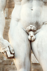 Image showing Michelangelos David in Florence