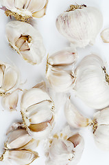 Image showing Garlic