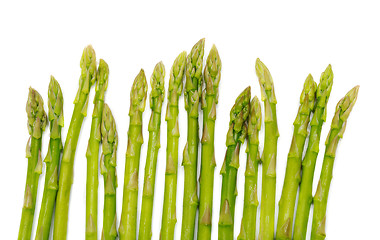 Image showing young shoots of asparagus 