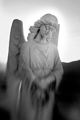 Image showing conrete angel