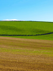 Image showing Cardross hill panorama