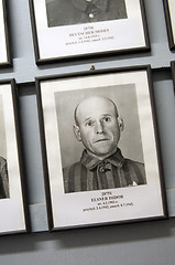 Image showing editorial photo portrait of deceased Auschwitz Nazi Concentraion