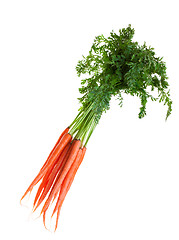 Image showing Fresh carrots
