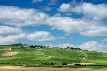 Image showing Vineyard landscape, Montagne de Reims, France