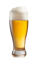 Image showing Beer in glass isolated on white background