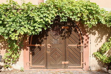 Image showing entrance gate overgrown with vine