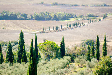 Image showing Pienza Landscape