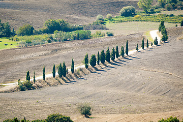 Image showing Pienza Landscape