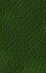 Image showing pattern of green crocodile skin