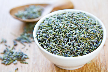 Image showing Lavender