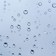 Image showing Rain droplets