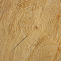 Image showing Wood rings