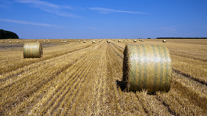 Image showing Straw bales 