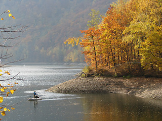 Image showing Autumn Forest