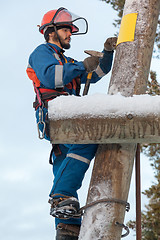 Image showing Electrician working on a power line pole