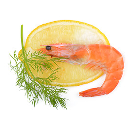Image showing shrimp, a lemon, fennel