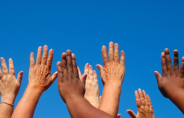 Image showing Diverse hands
