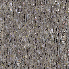 Image showing Pine Bark. Seamless Tileable Texture.