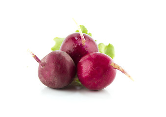 Image showing Small garden red radish