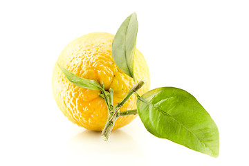 Image showing Sweet Orange Fruit with leaves