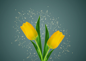 Image showing  yellow spring tulips