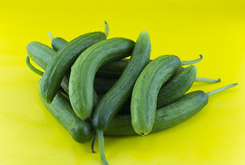 Image showing Fresh Cucumber