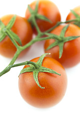 Image showing fresh cherry tomatoes