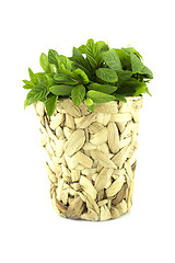 Image showing fresh green mints