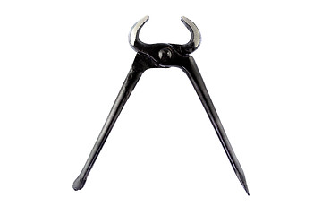 Image showing  black tongs