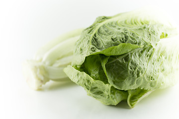 Image showing Romain Lettuce 