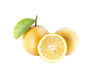 Image showing Sweet orange