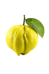 Image showing yellow ripe lemon 