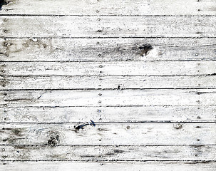 Image showing white wooden texture