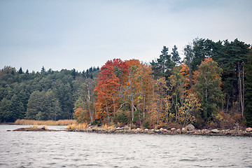 Image showing Fall/autumn in the archipelago