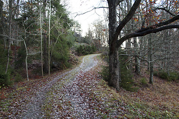 Image showing forest road one autumn morning