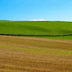 Image showing Cardross hill panorama