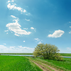 Image showing road in green grass near tree and blue sky with clouds