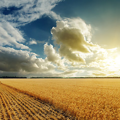 Image showing good sunset over harvesting field