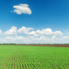 Image showing agriculture green field and clouds over it