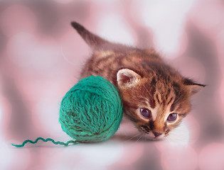 Image showing little kitten playing with a ball