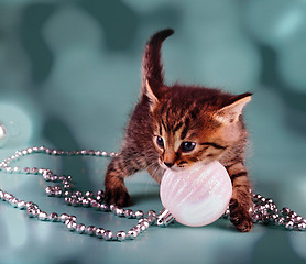 Image showing cute little kitten with white Christmas ball