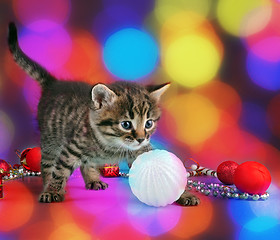 Image showing small  kitten among Christmas stuff