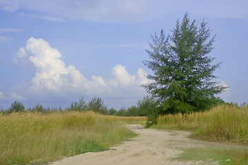 Image showing Rural scene in Singapore

