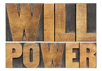 Image showing will power in wood type