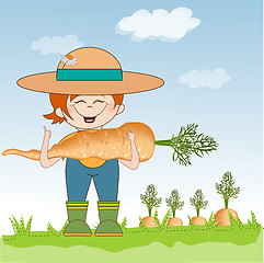 Image showing gardener to harvest carrots