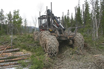 Image showing Forest machine