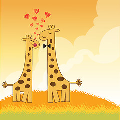 Image showing Funny giraffe couple in love