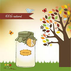 Image showing pure biological food jar