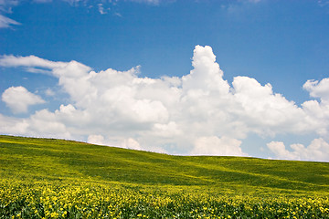 Image showing Flowered Landscape