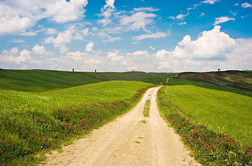 Image showing Country Road